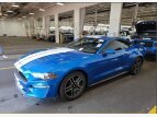 Thumbnail Photo 54 for 2019 Ford Mustang